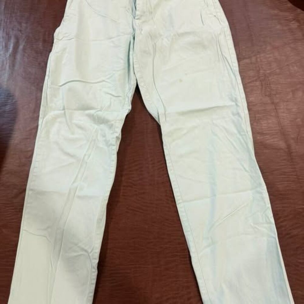 Fabletics Men's Chino Pants light mint green